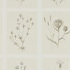 Little Thistles 216511